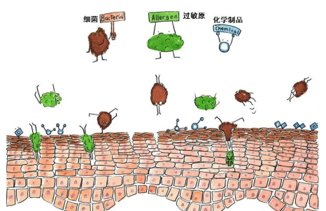 湿疹止痒妙招，湿疹怎么引起的？答案都在这！
