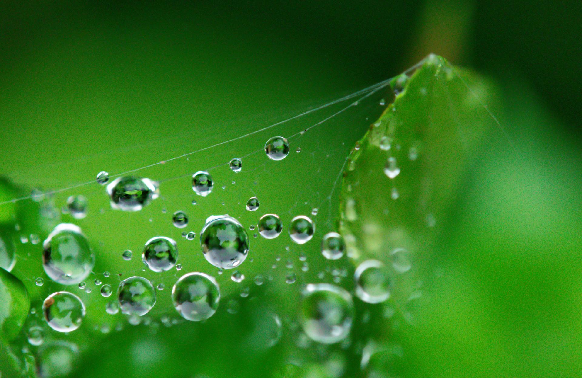 梅雨季节怎么防潮 少开窗勤用除湿剂