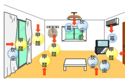 3个月不到宝宝胎停，凶手可能是室内空气环境