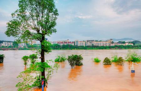 洪水过后要注意哪些传染病