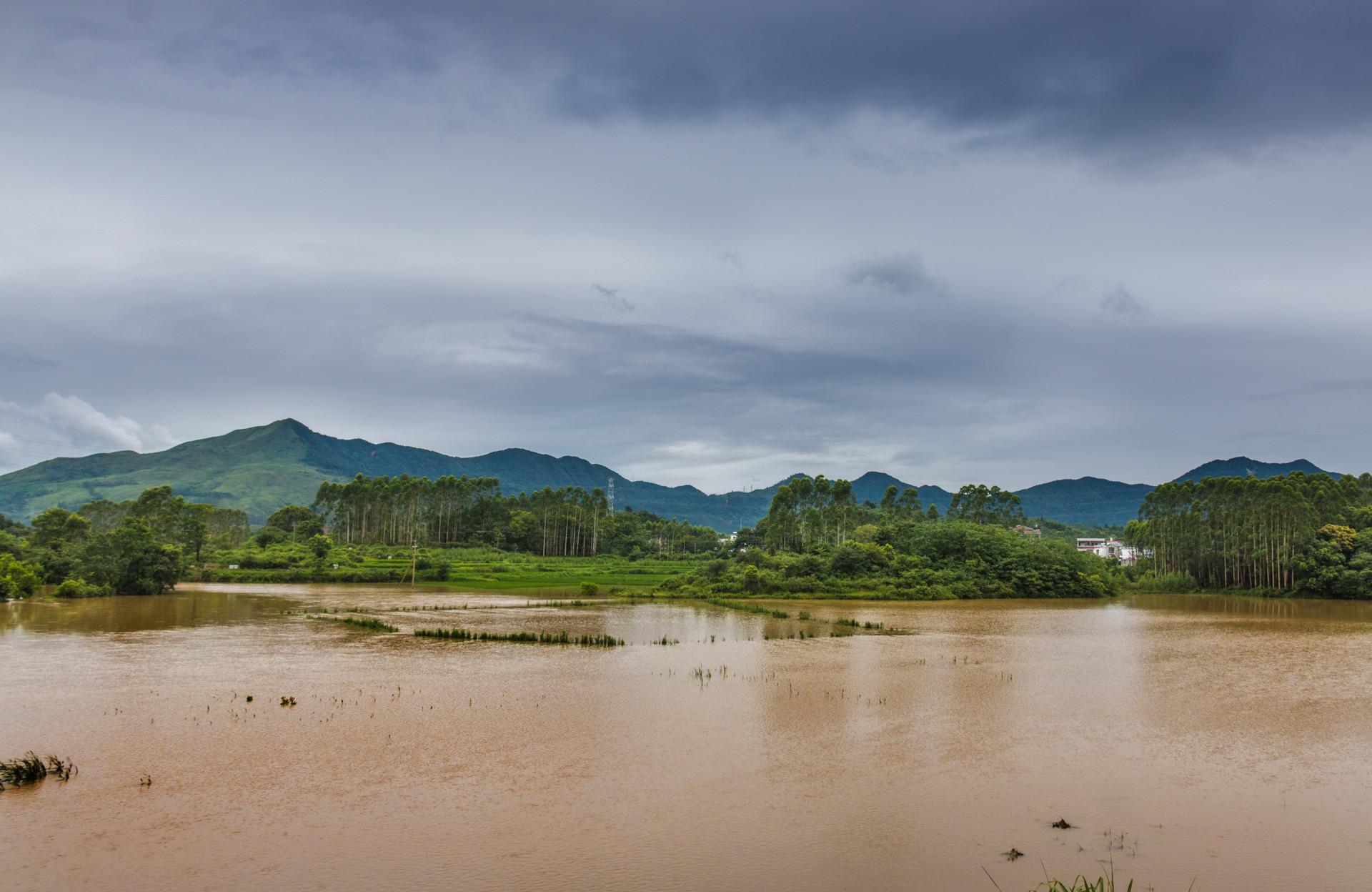 1981年重庆长江洪水最高水位是多少 重庆长江最高水位多少米