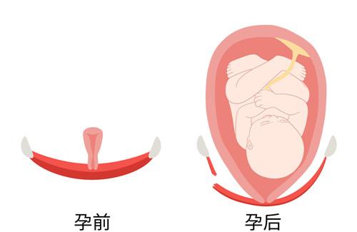 大悦盆底康复治疗仪帮大忙产后重新开机真性福