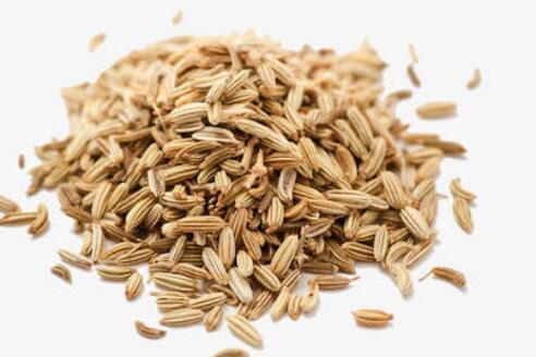 小茴香治尿频偏方