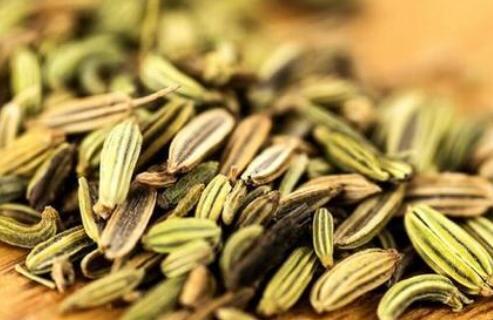 小茴香在调料中起什么作用