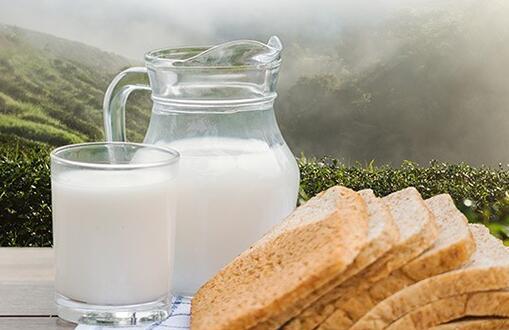 金典低脂纯牛奶过期一个月还能喝吗