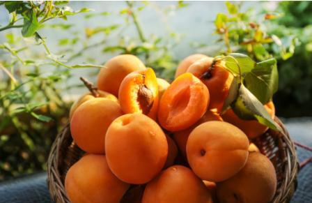 黄桃多少钱一斤2020