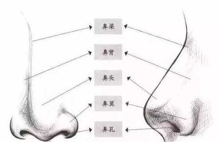 宁波薇琳是正规医院吗：鼻头大只做鼻头部位可以吗？