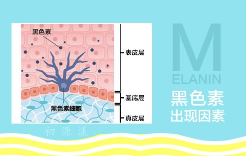 焦点：乳晕发黑是什么原因？乳晕发黑可以恢复吗