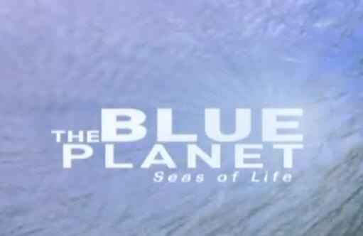 蓝色星球第一季英文版纪录片百度网盘下载