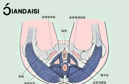 下面松弛怎么能改善？不用紧张三招解决！
