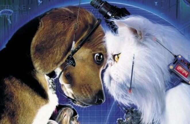 《猫狗大战1》英文电影免费下载