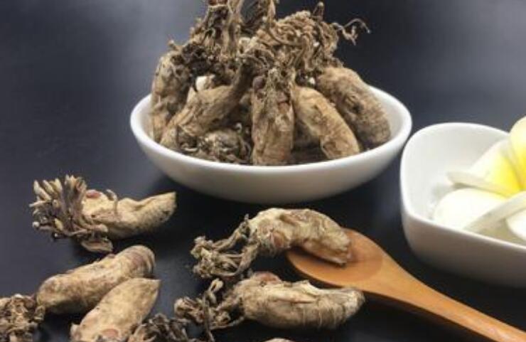 金蝉花药店多少钱一斤
