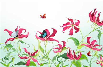 美丽的花蝴蝶故事