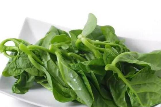 木耳菜炒出来发酸是为什么