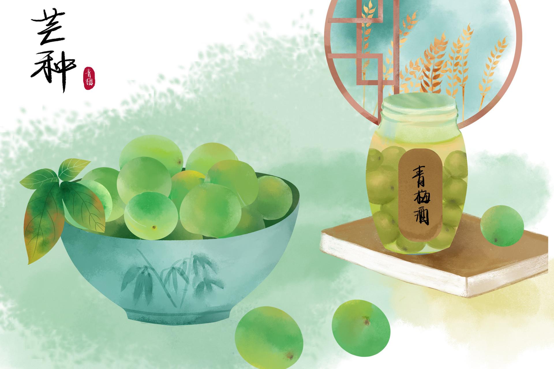 喝中药可以喝青梅酒吗