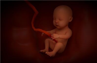 孕期1-40周|胎儿发育全过程变化和B超单解读！