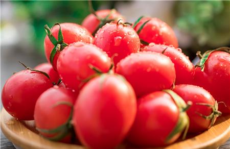 来月经可以吃番茄吗