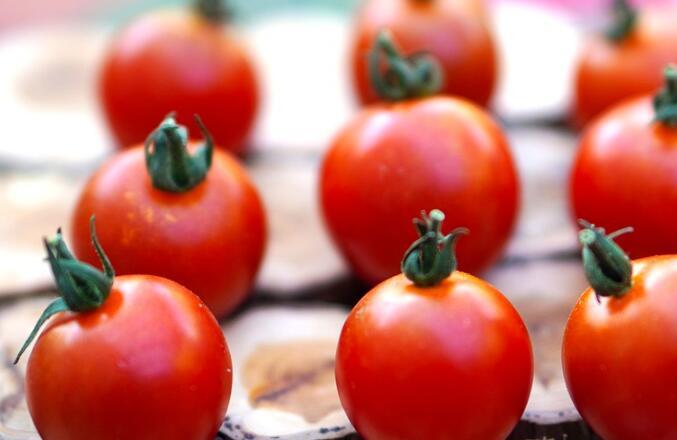番茄怎么吃减肥效果好 晚上吃更燃脂