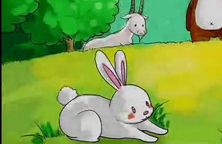 小兔的失败的故事