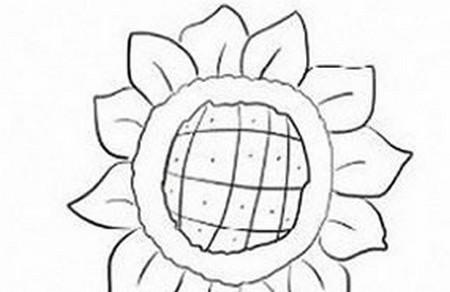 怎么画向日葵简单画法