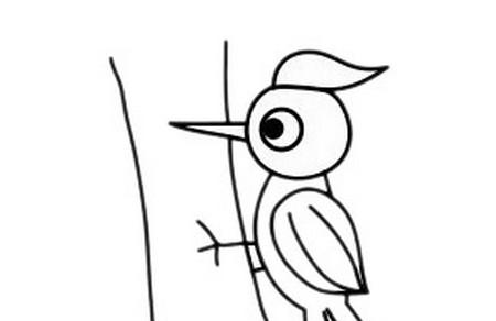 简笔啄木鸟怎么画