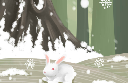 自信的灰兔和忧愁的白兔的故事