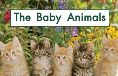 少儿英语绘本故事《the baby animals小动物们》pdf资源免费下载