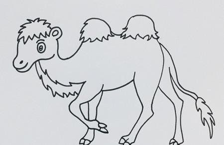 骆驼简笔画步骤画法