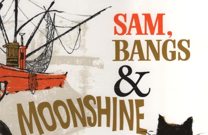 《Sam Bangs Moonshine莎莎的月光》英文原版绘本pdf资源免费下载