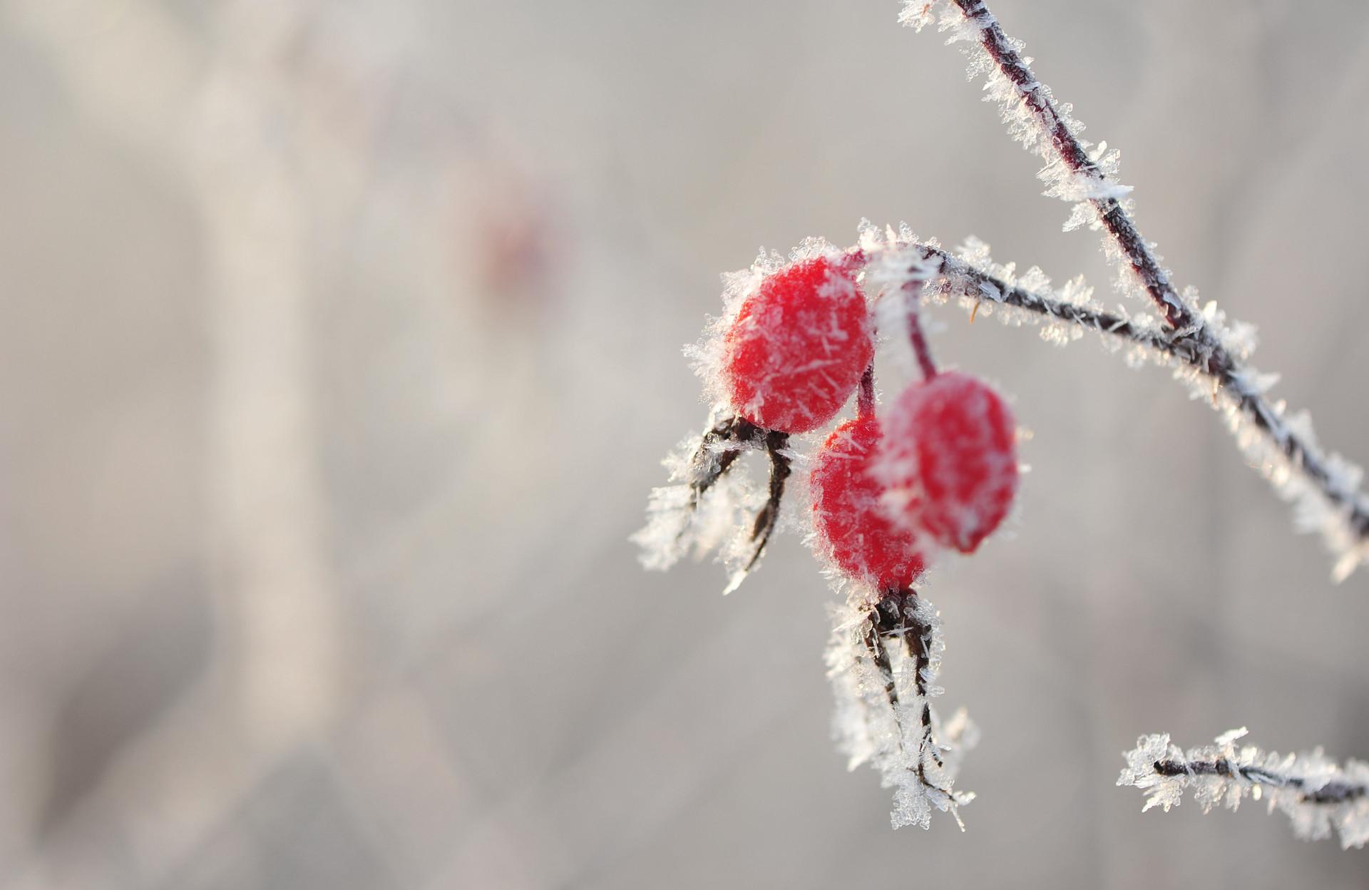 有关小雪节气的谚语