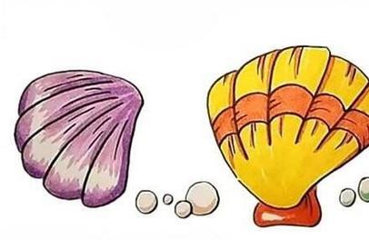 卡通贝壳怎么画简单又漂亮