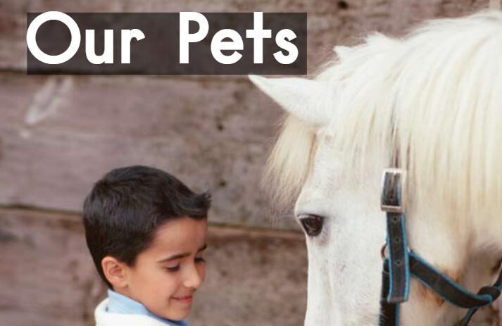 《Our Pets我们的宠物》英文原版绘本pdf资源免费下载
