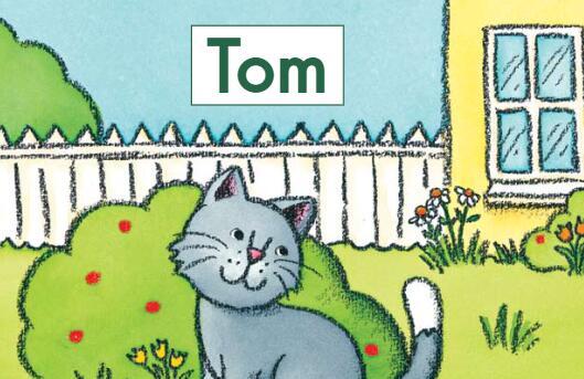 《Tom小猫汤姆》英文原版绘本pdf资源免费下载