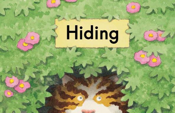 《Hiding躲藏》英文原版绘本pdf资源免费下载