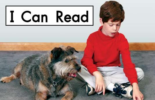 《I can read我能读书》英文原版绘本pdf资源免费下载