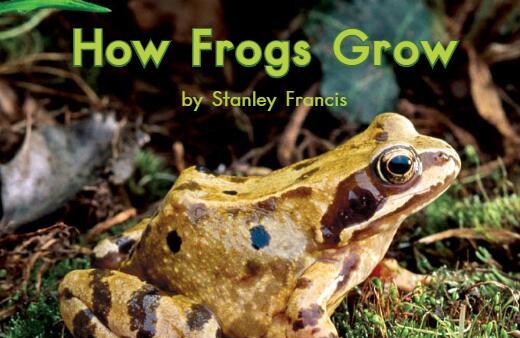 《How Frogs Grow青蛙是如何长大的》英语绘本故事pdf资源免费下载