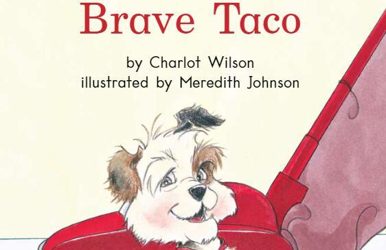 《Brave Taco勇敢的塔科》海尼曼英文绘本pdf资源免费下载