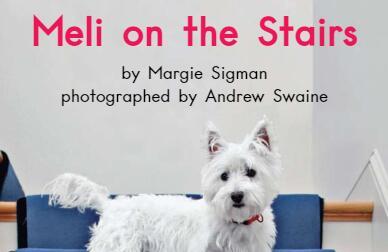 《Meli On The Stairs梅利在楼道上》英语绘本pdf资源免费下载