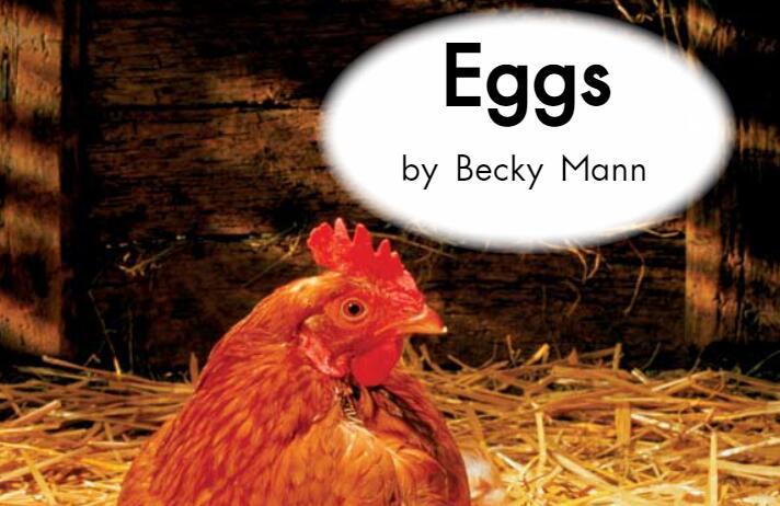 《Eggs鸡蛋》海尼曼英语绘本pdf资源免费下载