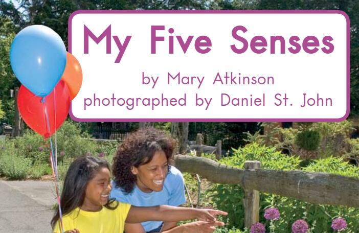 《My Five Senses我的五种感官》绘本故事pdf资源免费下载
