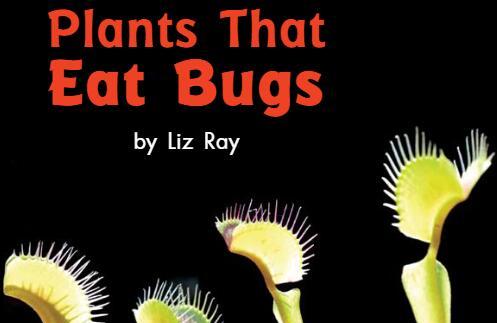 《Plants That Eat Bugs吃虫子的植物》英文绘本pdf资源免费下载