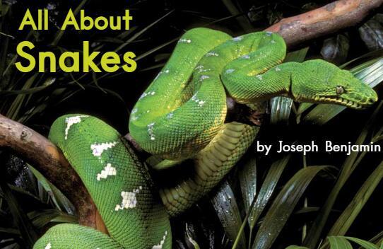 《All About Snakes关于蛇的一切》海尼曼英语绘本pdf资源免费下载