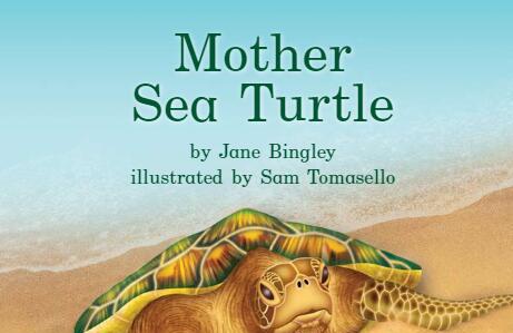 《Mother Sea Turtle海龟妈妈》海尼曼英语绘本pdf资源免费下载