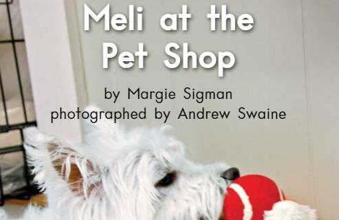 《Meli At The Pet Shop梅莉在宠物店》英语绘本故事pdf资源免费下载