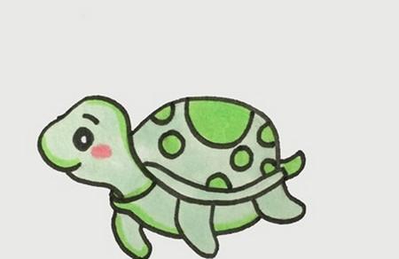 海龟怎么画简笔画图片