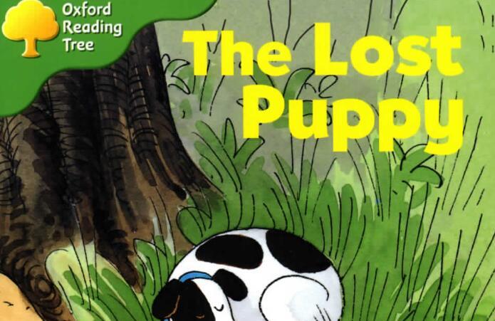 《the Lost Puppy走失的小狗》牛津树英文绘本pdf资源免费下载