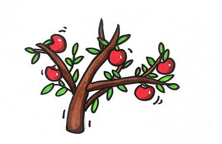 苹果树怎么画简笔画步骤