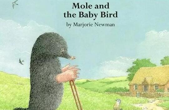《Mole and Baby Bird》中英双语绘本故事pdf资源免费下载
