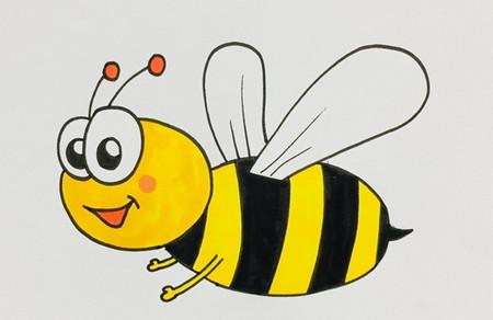蜜蜂怎么画简笔画步骤图解