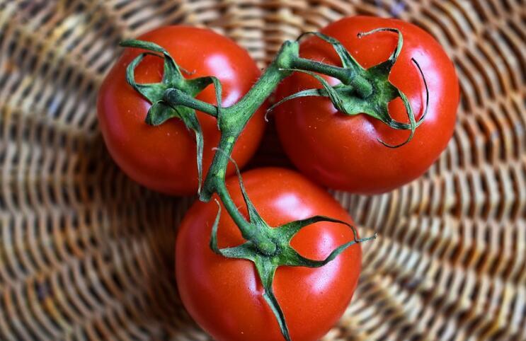 茄红素的功效与作用 十大超强保健功效